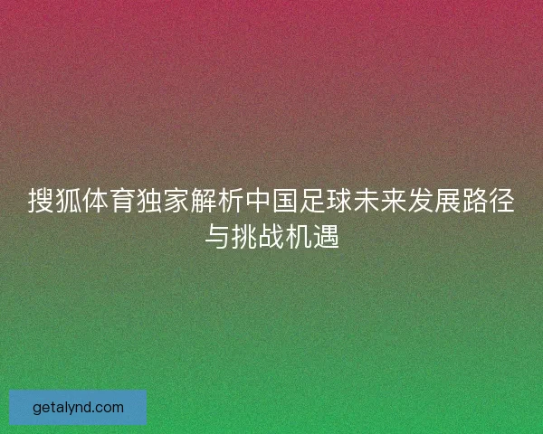搜狐体育独家解析中国足球未来发展路径与挑战机遇
