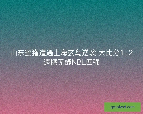 山东蜜獾遭遇上海玄鸟逆袭 大比分1-2遗憾无缘NBL四强